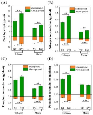 Intercropping of tobacco and maize at seedling stage promotes crop growth through manipulating rhizosphere microenvironment